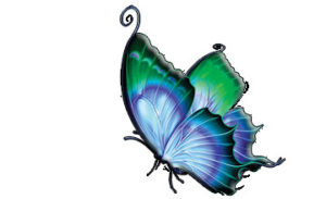 Sedona-Soul-Integration-Sedona-Flagstaff-Cottonwood-Arizona-Energy Healing-Spiritual Counseling-Grief-Loss-Parenting-Support-Wedding-Geopathic Stress Clearing-pic13a